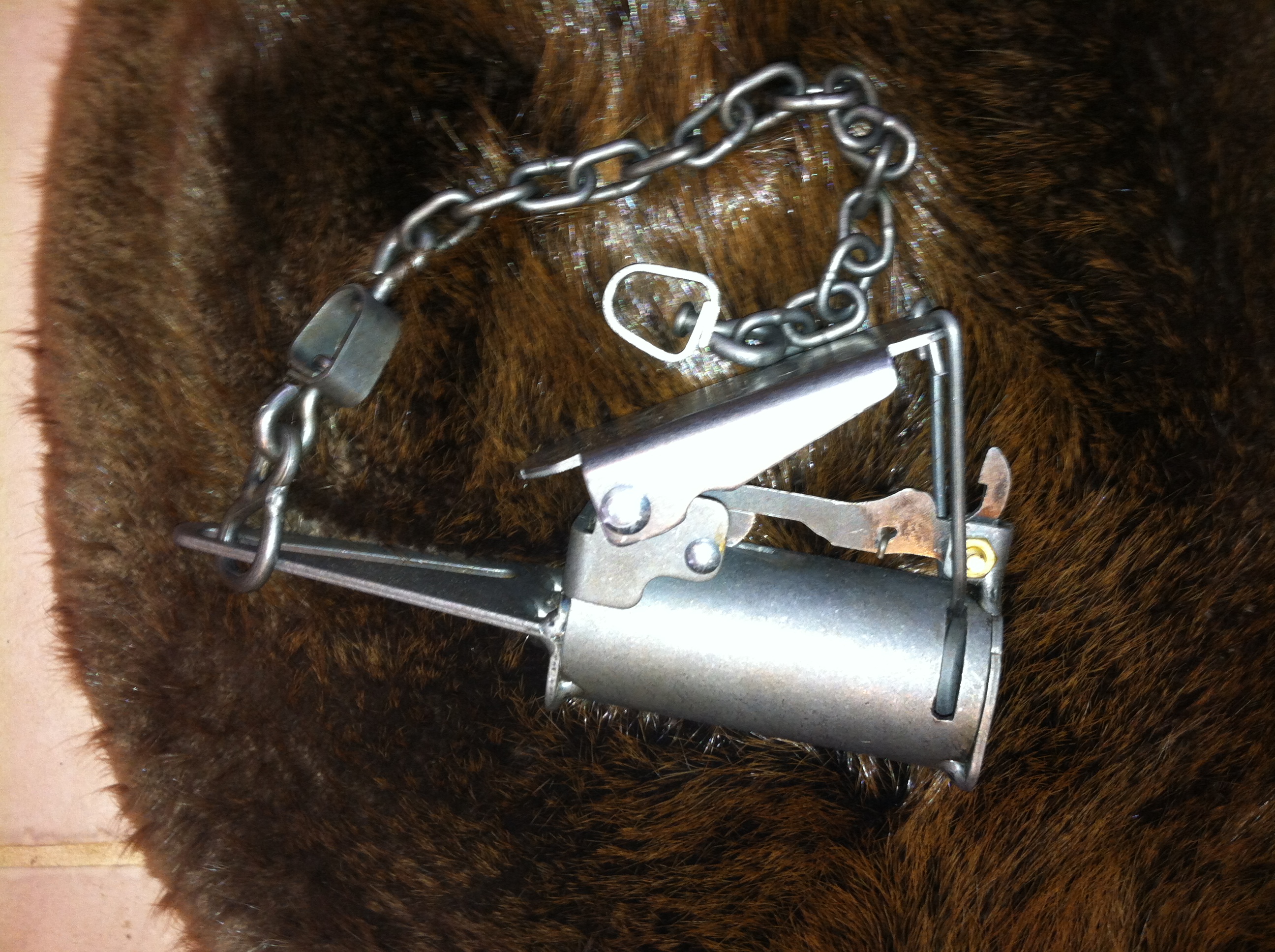 Freedom Brand FB1 Dog Proof Raccoon Trap at Sutherlands